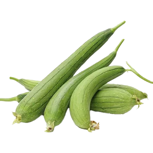 🥒 Стикер «Vegetables» для Telegram