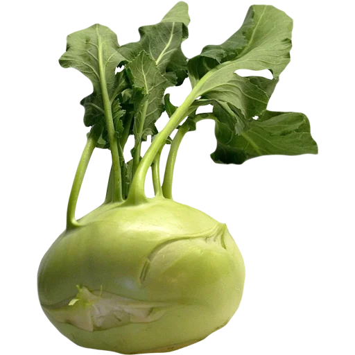 🥦 Стикер «Vegetables» для Telegram