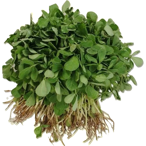 🍃 Стикер «Vegetables» для Telegram
