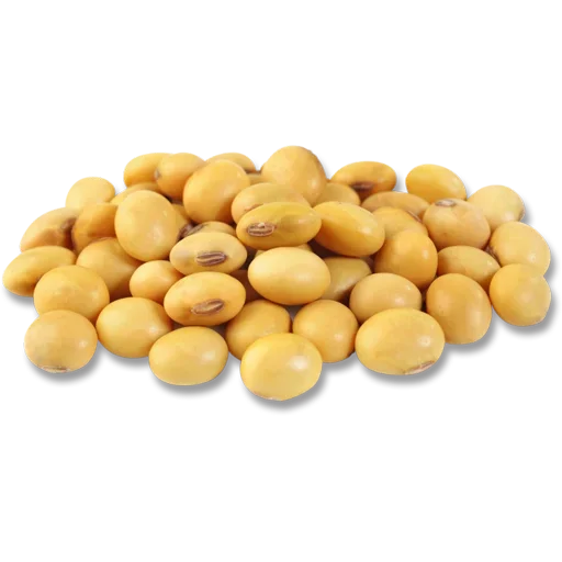 🫛 Стикер «Vegetables» для Telegram