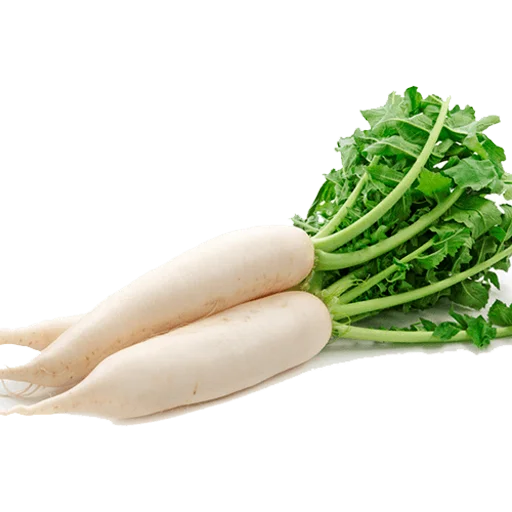 🥕 Стикер «Vegetables» для Telegram