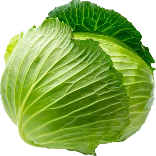 🥦 Стикер «Vegetables» для Telegram
