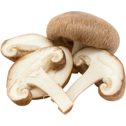🍄 Стикер «Vegetables» для Telegram