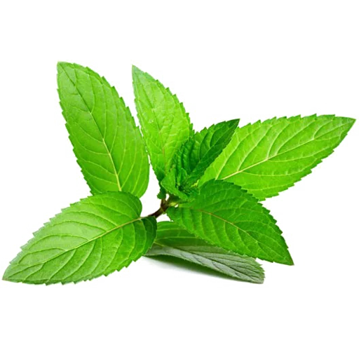 🌱 Стикер «Vegetables» для Telegram