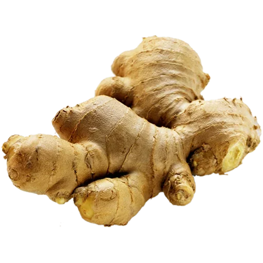 🫚 Стикер «Vegetables» для Telegram