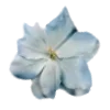 Стикер 61 Blue