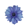 Стикер 34 Blue