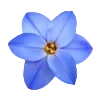 Стикер 9 Blue