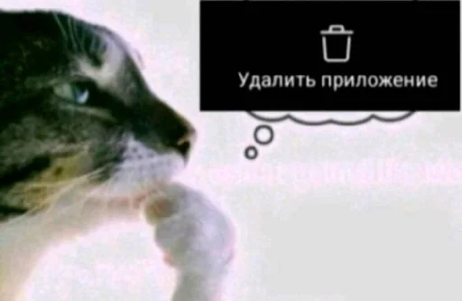 ❤️ Стикер «Фотки с ТТ» для Telegram