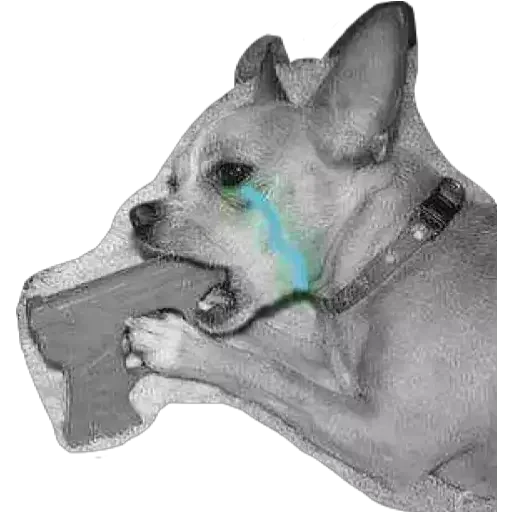 😭 Стикер «VengoDeWasap» для Telegram