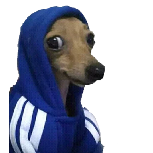 😶 Стикер «VengoDeWasap» для Telegram