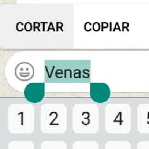 ☠️ Стикер «VengoDeWasap» для Telegram