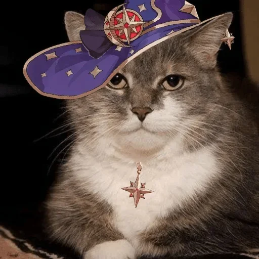 😼 Стикер «Клуб любителей Венти» для Telegram