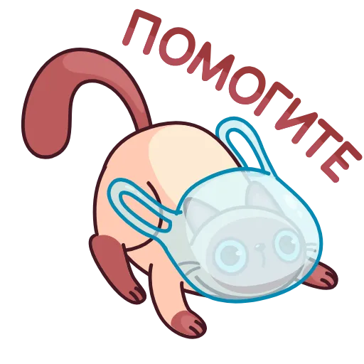 Стикер 59 Котик Веня