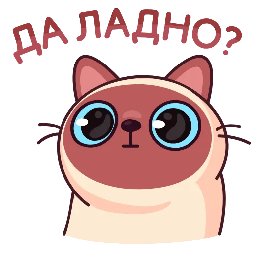 Стикер 61 Котик Веня