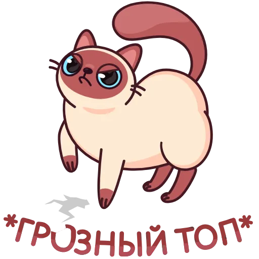 Стикер 48 Котик Веня