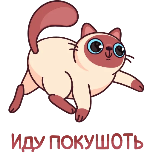Стикер 45 Котик Веня