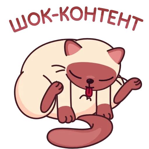 Стикер 15 Котик Веня