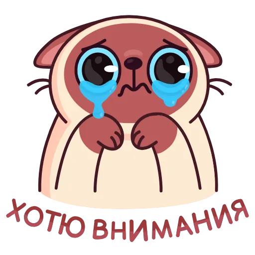 Стикер 37 Котик Веня