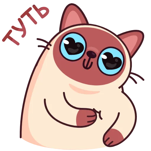 Стикер 43 Котик Веня