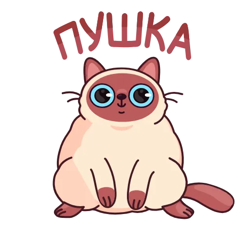 Стикер 19 Котик Веня