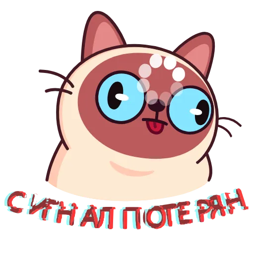 Стикер 17 Котик Веня