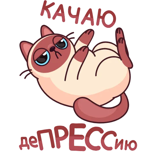Стикер 24 Котик Веня