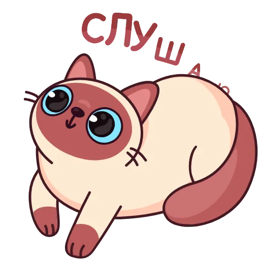 Стикер 23 Котик Веня