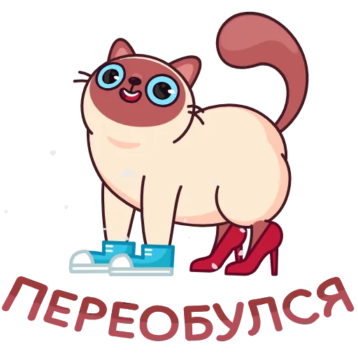 Стикер 38 Котик Веня