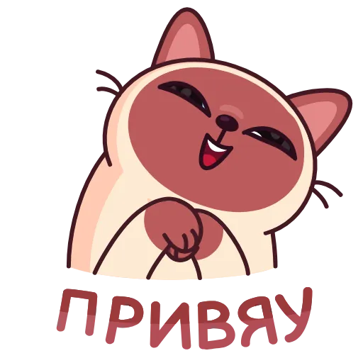 Стикер 7 Котик Веня