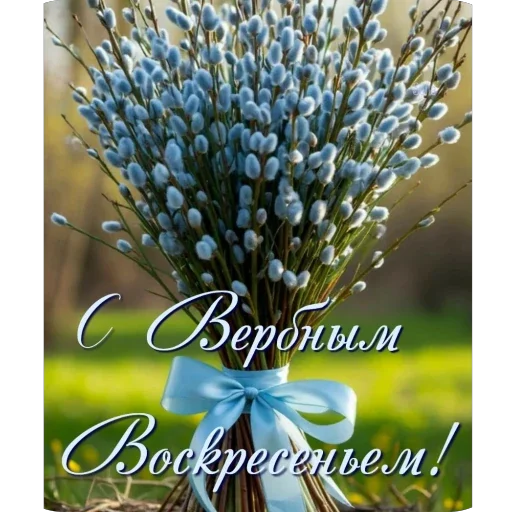 🌱 Стикер «Вербное воскресенье» для Telegram