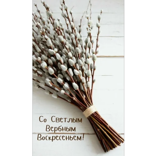 Стикерпак Вербное воскресенье для Telegram