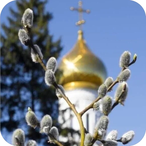 ☁️ Стикер «Вербное воскресенье» для Telegram