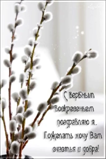 🌷 Стикер «Вербное Воскресенье» для Telegram