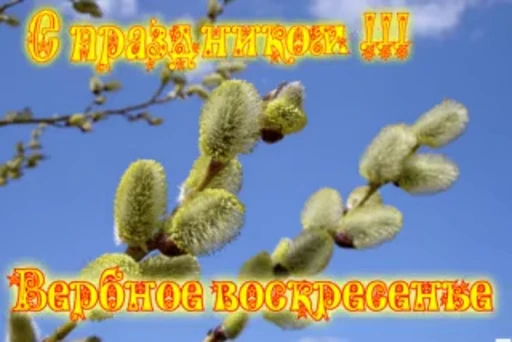 🌷 Стикер «Вербное Воскресенье» для Telegram