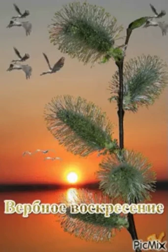 🌷 Стикер «Вербное Воскресенье» для Telegram