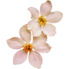 🌹 Эмодзи «^^eternal^^» для Telegram