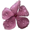 🌹 Эмодзи «^^eternal^^» для Telegram
