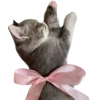 🎀 Эмодзи «^^eternal^^» для Telegram