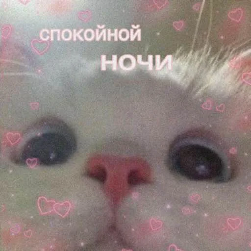 😴 Стикер «дела сердечные» для Telegram