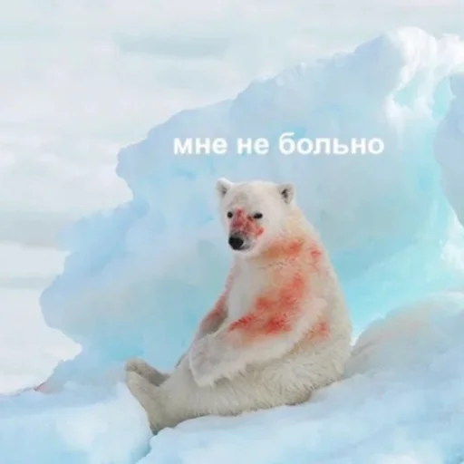 ❤️‍🩹 Стикер «дела сердечные» для Telegram