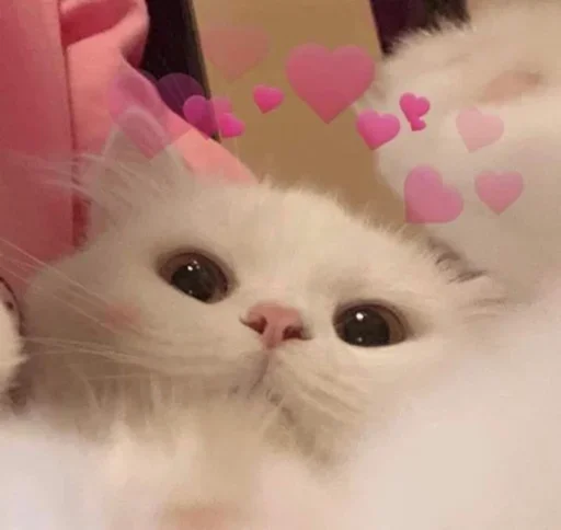 💕 Стикер «дела сердечные» для Telegram