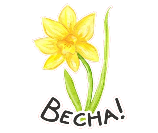 🌻 Стикер «Весенняя акварель» для Telegram
