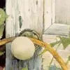 Стикер 44 Весна, лето - весенний пак