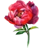 Стикер 20 Весна, лето - весенний пак