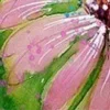 Стикер 38 Весна, лето - весенний пак