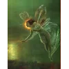 Стикер 52 fairy