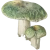 Стикер 9 fairy