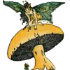 Стикер 41 fairy