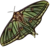 Стикер 8 fairy